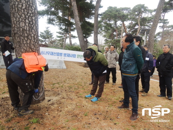 NSP통신-울진군은 소나무재선충병 방제사업에 앞서 안전기술교육을 하고 있다 (울진군)