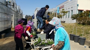 [NSP PHOTO]진도군, 사계절 꽃이 피는 아름다운 고장 조성