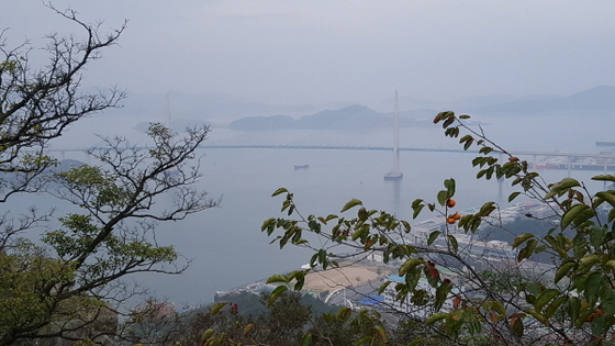 NSP통신-유달산에서 바라본 목포대교 일대 전경 (윤시현 기자)