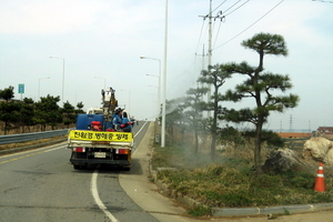 [NSP PHOTO]무안군, 가로수 등 친환경 방제