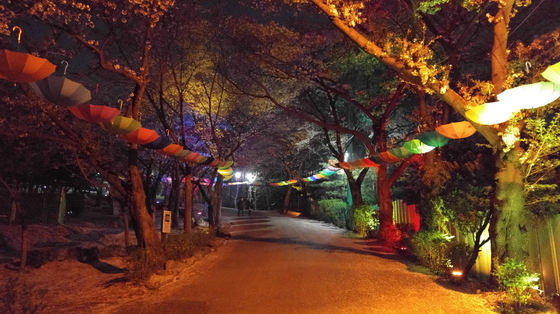 NSP통신-부천시 도당산 벚꽃 축제. (경기도)
