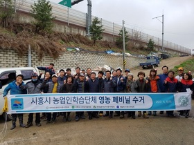 [NSP PHOTO]시흥시 농업인학습단체, 영농폐비닐 10톤 수거