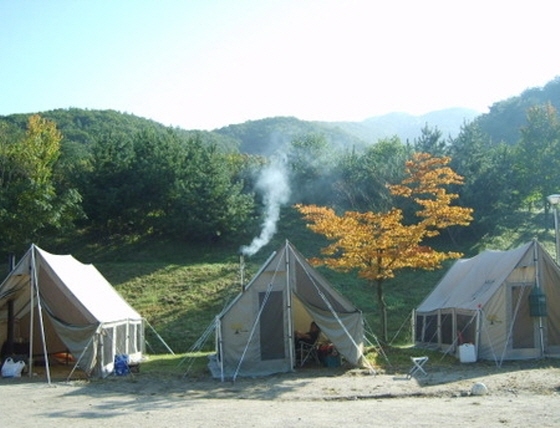 NSP통신-경기도청소년야영장 전용부지에서 진행되는 오토캠핑 모습. (경기도)