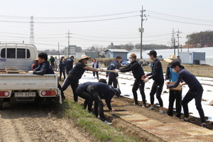 [NSP PHOTO]오산시시설관리공단, 결연 마을 농가 일손돕기 전개