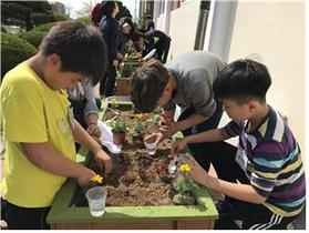 [NSP PHOTO]대구시농업기술센터, 학교대상 원예활동프로그램 진행