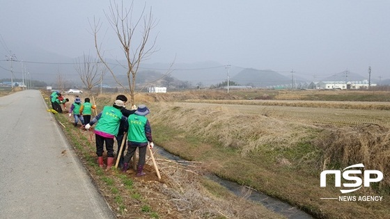 NSP통신-담양군이 본격 추진에 들어간 숲속의 담양 만들기 사업. (담양군)