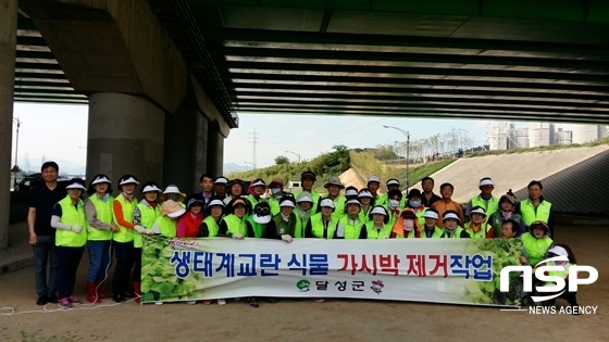 NSP통신-달성군청 관계자들과 달성군자연보호협의회 회원들이 제거 작업을 마치고 기념 촬영을 가졌다. (사진 = 대구광역시 달성군 제공)