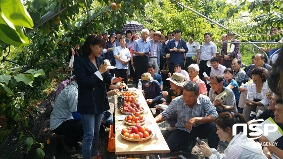 NSP통신-완주군 농업기술센터가 신소득작목 플럼코트 농가 육성을 위해 현장교육을 하고 있다.