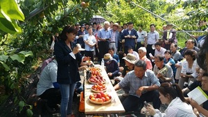 [NSP PHOTO]완주군, 신소득작목 플럼코트  본격 육성