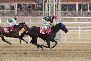 [NSP PHOTO][주간분석] 1등급 중상위권 경주마 대격돌