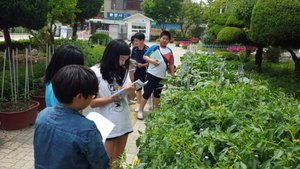 [NSP PHOTO]대구황금초, 생활원예 중앙경진대회 학교학습원분야 최우수상