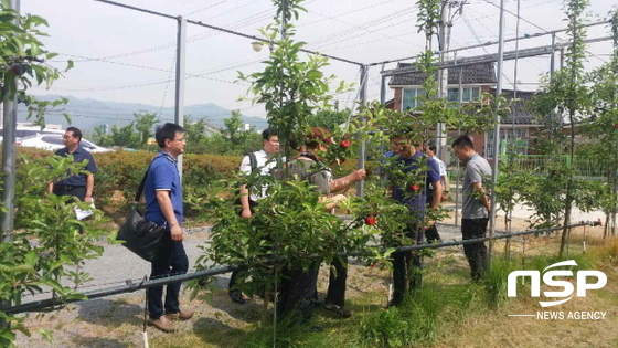 NSP통신-(사진=경산시)