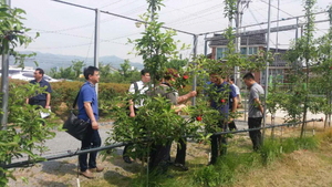 [NSP PHOTO]경산묘목, 중국기업인 벤치마킹 줄이어