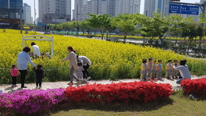 [NSP PHOTO]무안군, 남악신도시 성장 힘입어 인구 젊어져