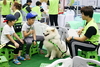 [NSP PHOTO]창파동물매개치료연구센터, 제11회 대구 펫쇼 참가