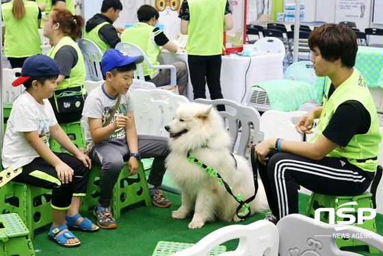 NSP통신- (창파동물매개치료연구센터)