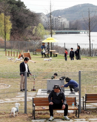 NSP통신-경기 용인시 기흥구 호수공원 반려동물 놀이터. (용인시)