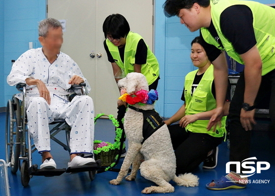 NSP통신- (창파동물매개치료연구센터)