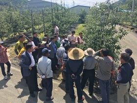 [NSP PHOTO]곡성군, 사과‧배 우박 피해지역 전문가 현장컨설팅 실시