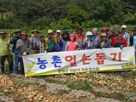 [NSP PHOTO]함평 귀농어·귀촌협의회, 농촌일손돕기 앞장