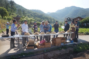 [NSP PHOTO]보성군, 공급체계 개선·자가증식 능력 배양으로 농가소득 증대