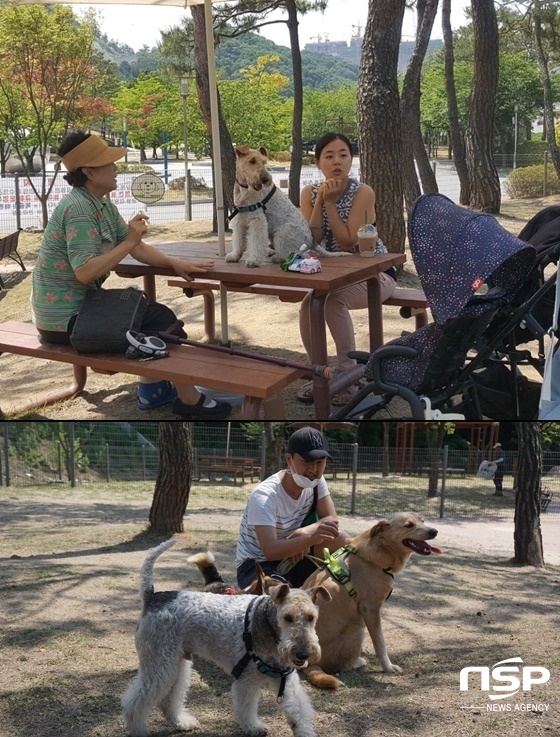 NSP통신-경기 용인시 기흥구에 있는 반려견놀이공원에서 반려동물을 사랑하는 사람들과 반려동물이 한가로이 휴식을 취하고 있다. (김병관 기자)