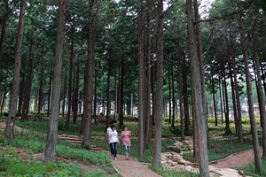 [NSP PHOTO]장흥군, 지역 대표 9경·9미·9품 선정···관광자원 활용 본격화