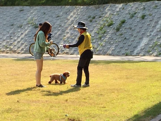 [NSP PHOTO]성남시, 반려견 산책시 목줄 착용· 배설물 수거해야
