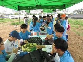 [NSP PHOTO]성남농업기술센터, 옥수수 수확체험 행사 개최