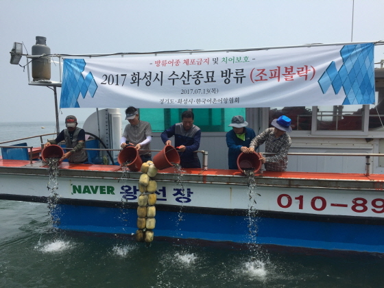 [NSP PHOTO]화성시, 어족보존 위해 우럭 120만 마리 방류