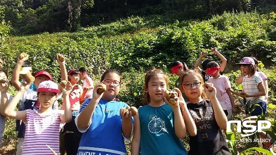 NSP통신- (울릉교육청 제공)