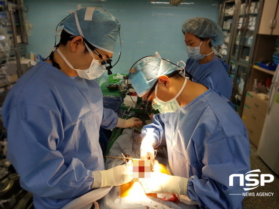 NSP통신-계명대 동산병원 심장이식팀이 심장이식수술을 시행하고 있다. (계명대 동산병원)