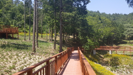 NSP통신-진도군, 운림삼별초공원에 1.2km 무장애 숲길 조성 (진도군)