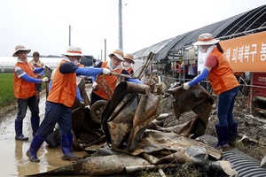 [NSP PHOTO]한화그룹 100여명, 충청지역 수해복구 봉사활동 펼쳐