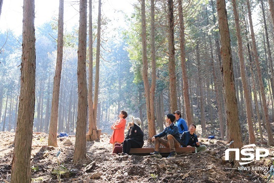 [NSP PHOTO][가볼까]전북 진안 부귀 편백숲 산림욕장