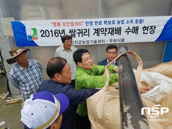 NSP통신-강진군의 지난 해 쌀귀리 계약재배 수매현장. (강진군)