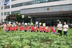 [NSP PHOTO]안양시 동안구청, 원형광장 어린이 견학코스 운영