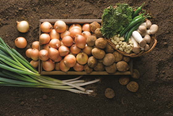 NSP통신-감자 양파 등 가격 급등 채소 (이마트 제공)