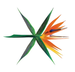 NSP통신-▲EXO THE WAR - The 4th Album 재킷 이미지