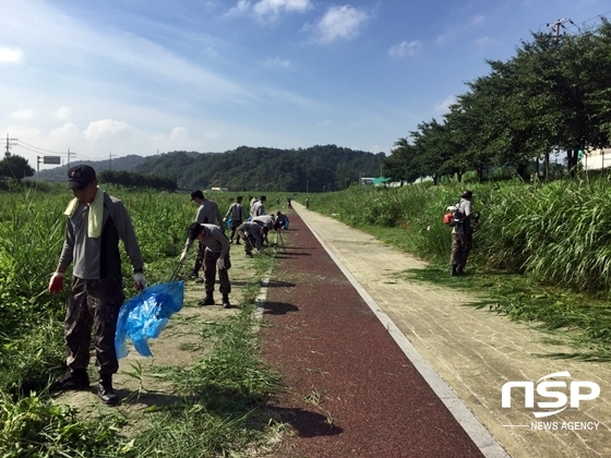 NSP통신-향토부대 관계자와 50사단 장병이 환경 정화활동을 전개하고 있다. (경북 성주군 제공)