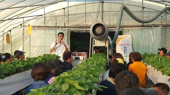 NSP통신-▲노성딸기공선회 활동 장면 (논산시)