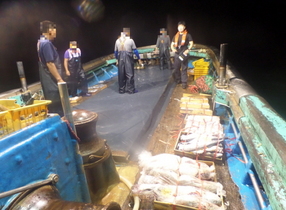 [NSP PHOTO]목포해경, 꽃게 금어기에 40kg 불법 포획한 어선 적발