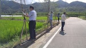 [NSP PHOTO]성주군, 수륜면 우리동네 나무관리자 지정