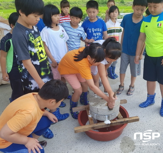 NSP통신-두부만들기 체험행사(금산초등학교 학생) (고흥군)