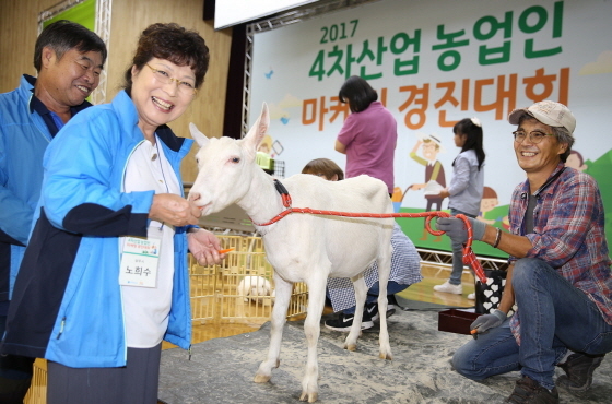 NSP통신-8일 농업과학교육관에서 열린 2017 4차산업 농업인 마케팅 경진대회에서 쇼호스팅 경진이 진행되고 있는 모습. (경기도농업기술원)