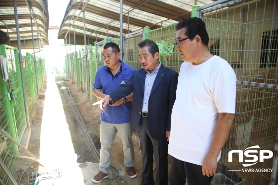 NSP통신-왼쪽부터 이웅종 연암대학 교수, 이주항 펫맨 대표, 박운선 행강 대표가 유기견들을 살펴보고 있다. (민경호 기자)