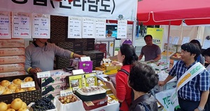 [NSP PHOTO]전남농협, 서울 광화문광장서 전남 대표 농·수·축산물 직거래장터 개장