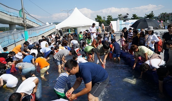 NSP통신-▲무창포항에서 9월 23일부터 대하·전어 축제가 개최된다(지난 해 맨손고기잡기체험 장면). (보령시)