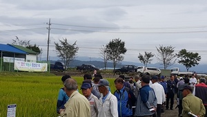 [NSP PHOTO]논산시, 27일 2017 벼농사 종합평가회 열려