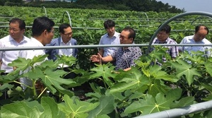 [NSP PHOTO]전남농협, 친환경 농산물 생산단지 조성 박차